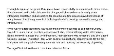 edit-liherald.com-Laura Burns is the choice in the 6th Legislative District-page-002